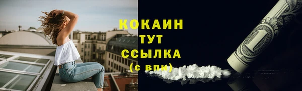 2c-b Богородицк